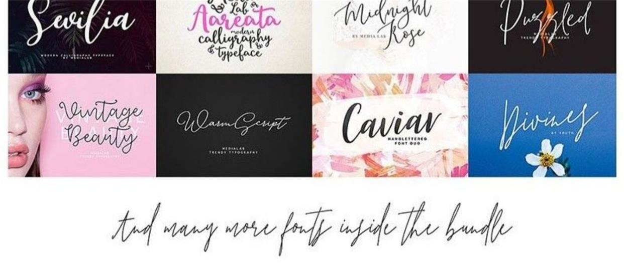 🔥600 Commercial-Use Handwritten Connected English Fonts TTF/OTF|For PS/Procreate/Design|Logo/Wedding/Digital Art Styles – Only $0.4! - pixelpenco