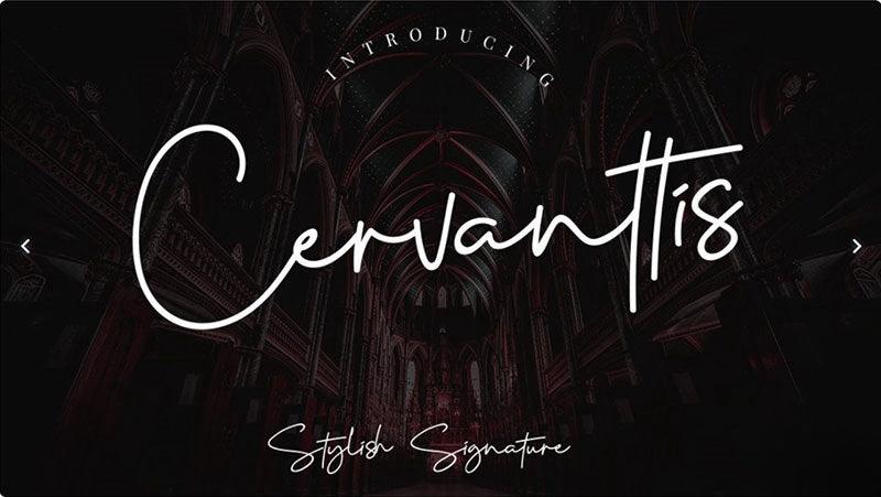 ✨10 Slender Elegant Handwritten Fonts | Commercial Use | For Wedding/Logos – Only $0.4! - pixelpenco