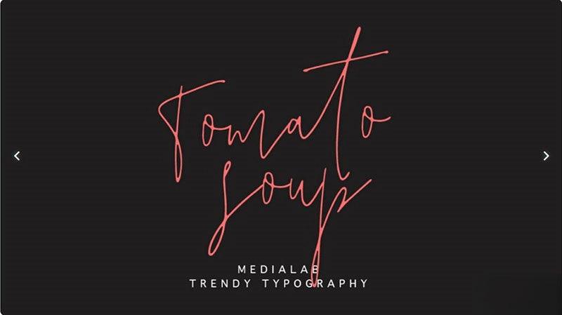 ✨10 Slender Elegant Handwritten Fonts | Commercial Use | For Wedding/Logos – Only $0.4! - pixelpenco